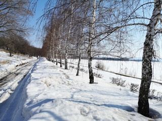 Melting snow on the road in the Russian landscape early spring