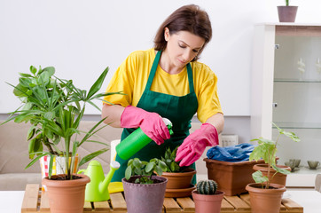 Female gardener with plants indoors