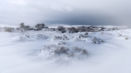 winter landscape