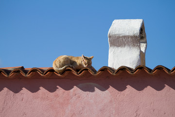 A red-haired cat sleeps in the sun on the tiles of a roof of a typical Mediterranean house with a traditional shaped chimney