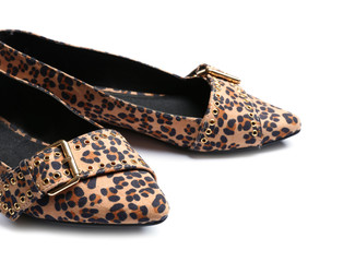 Stylish female shoes on white background, closeup. Trendy footwear