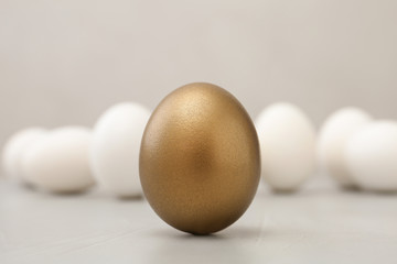 One golden egg on light background, closeup