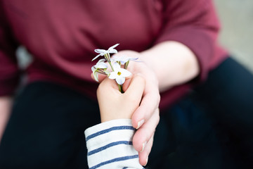 白い花を手渡すお婆さんと孫の手