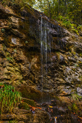 A small waterfall flows down a thin stream from the mountain covered with moss and fallen leaves