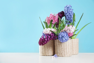 Beautiful hyacinths in wicker pots on table against color background, space for text. Spring flowers