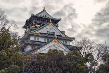 Fototapeta premium Osaka castle in winter in Japan