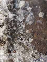 Texture of ice and melting snow on the muddy ground closeup in March
