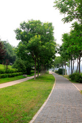 Road in the city park