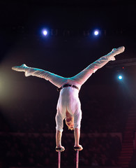 Man's aerial acrobatics in the Circus.