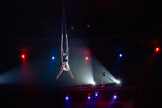 Girl's Aerial Acrobatics In The Circus.