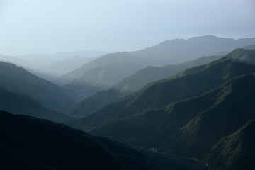 Light in the Shirakami mountains - 白神山地に差し込む光