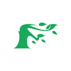  trees blown in the wind