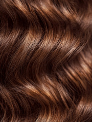 Naklejka premium Girl with long, curly hair, rear view. Hair texture, close-up.