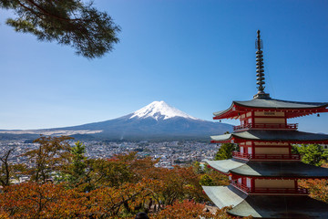 Fototapeta premium Pagoda Chureito i Mt. Fuji jesienią, Japonia