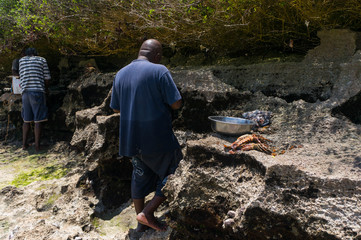 African man prepare lobster for seafood plate. Blue Safari, Fumba area, Zanzibar, Tanzania.