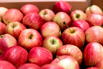Fototapeta na wymiar Apples in cardboard boxes at a fruit factory