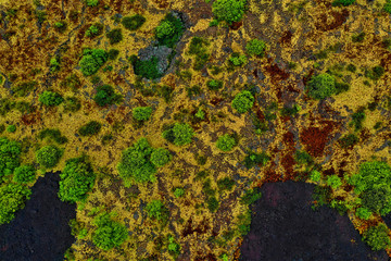 Lava auf Hawaii aus der Luft - Luftbilder von Big Island