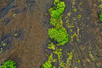 Lava auf Hawaii aus der Luft - Luftbilder von Big Island