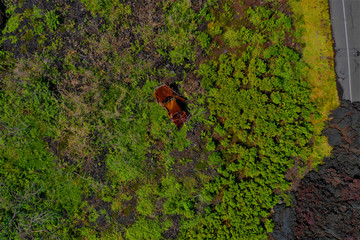 Lava auf Hawaii aus der Luft - Luftbilder von Big Island