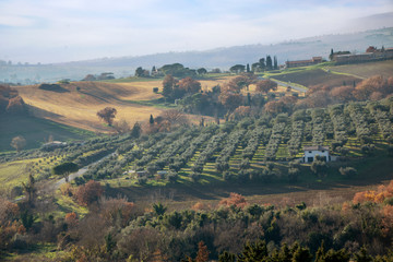 Maremma countryside