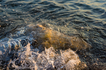 pebble stones on the sea beach, the rolling waves of the sea with foam