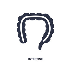 intestine icon on white background. Simple element illustration from medical concept.