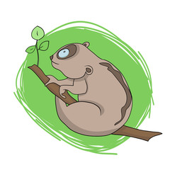 Color vector illustration, image of a cartoon funny wild animal, lory