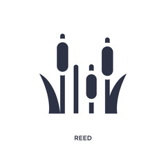 reed icon on white background. Simple element illustration from nature concept.