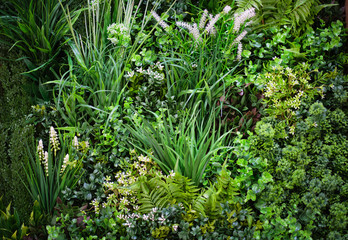 Eco Green Plant Wall