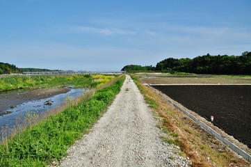 Gravel road in Hitachinaka, Ibaraki, Japan