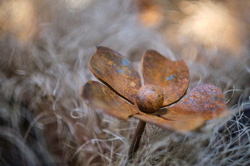 Abstract background with metal poppies
