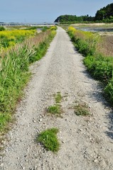 Gravel road in Hitachinaka, Ibaraki, Japan