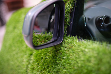 Eco transport - grass covered car.