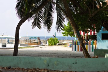 Colored maldivian harbor with palms (Ari Atoll, Maldives)