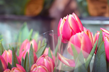Close up of a beautiful pink blooming tulip spring flower as part of flower bouquet on plant stand