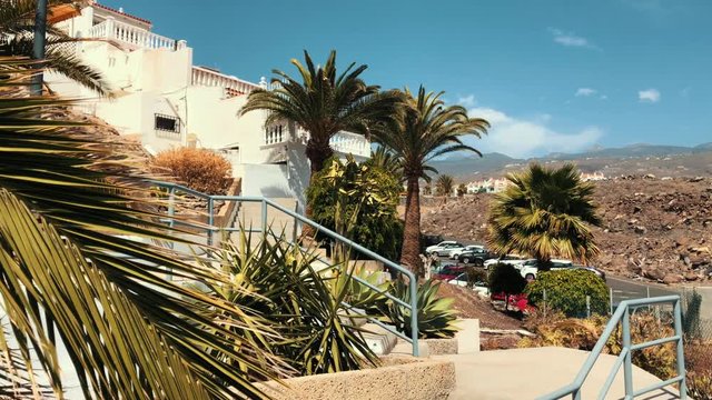 Beautiful palm trees and sky background in a picturesque park in Santa Cruz de Tenerife 4k