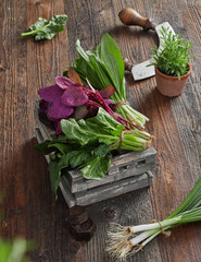 Farmers's market herb leafs