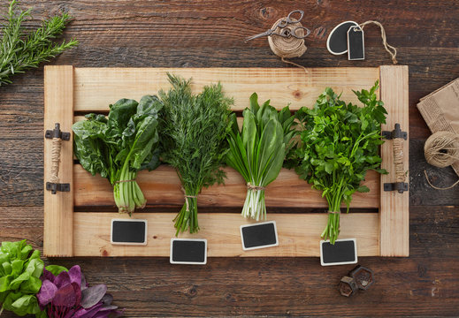 Various fresh green kitchen herbs