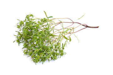 Fresh thyme isolated on white, top view