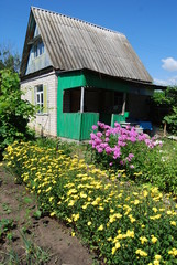 Fototapeta na wymiar Old countryside house in Russia in summe