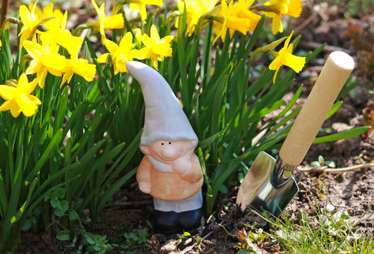 garden gnome with a shovel in front of yellow flowers