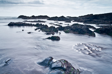 landscape with peace sign