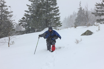 A tired traveler walks into a snowstorm along a snowbound path  in poor visibility conditions