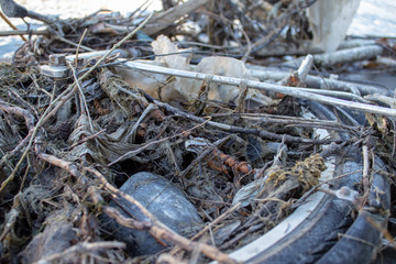 pollution of the seas