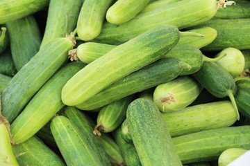 Fresh cucumbers for cooking in the market