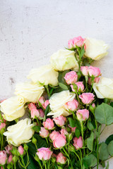 Pink and white blooming roses
