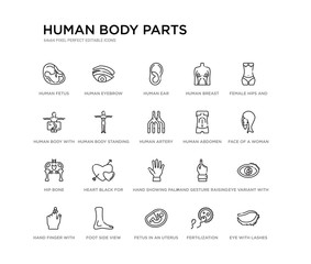 set of 20 line icons such as hand showing palm, heart black for valentines, hip bone, human abdomen, human artery, human body standing black, body with x ray plate focusing on stomach, breast, ear,