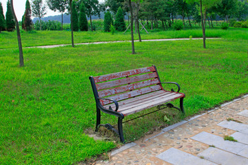 broken chairs and trees