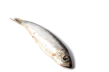 Fototapeta premium Dry fish isolated on white background. horizontal photo.