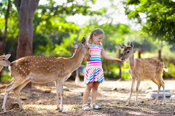 Child feeding wild deer at zoo. Kids feed animals. - obrazy, fototapety, plakaty